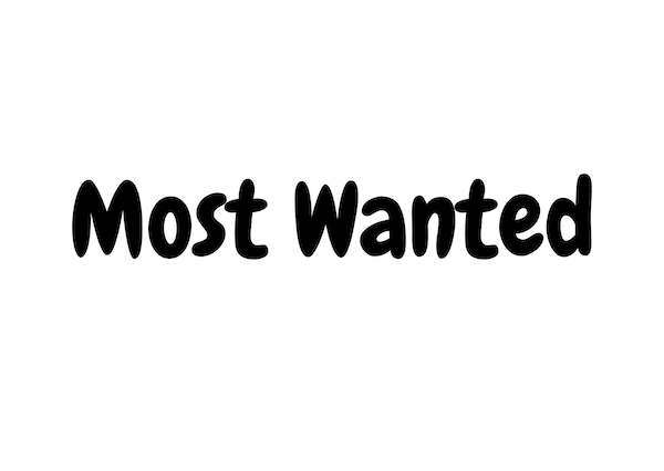 most-wanted-cosa-significa-tradotto